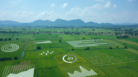 Augmented Reality: 9 Tools Fueling AR Development