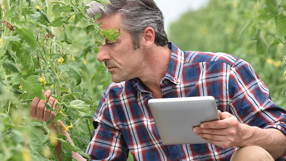 IIOT – The New Industrial Revolution